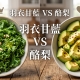 羽衣甘藍 VS 酪梨