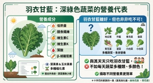 羽衣甘藍：深綠色蔬菜的營養代表